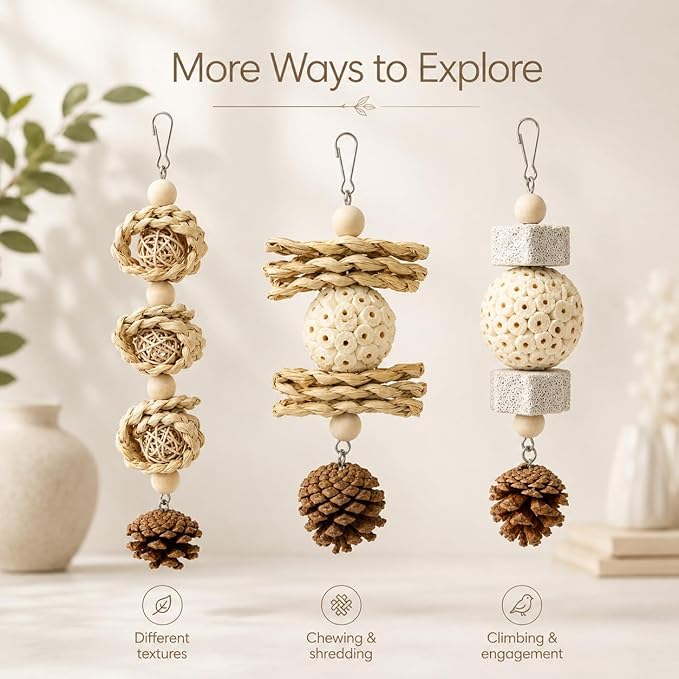 3 Pack Bird Toys for Small Birds, Texture-Rich Shredding & Chewing Toys with Sola Ball, Rattan Balls, Pumice Stone and Pinecone, Hanging Cage Toys for Budgies, Cockatiels, Lovebirds and Small Conures