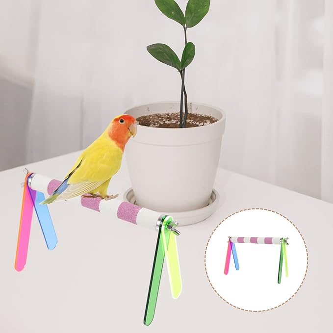 POPETPOP Bird Training Stand, Tabletop Bird Perch Training Perch Parrot Playground Cage Toys Accessories for Small Parakeet Cockatiel Budgie