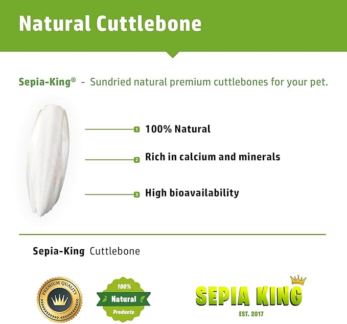 Sepia King - Extra Large - 100% Natural Calcium Supplement - Premium Cuttlebone Perfect for Birds, Tortoises, Snails, Reptiles - Pack of 3