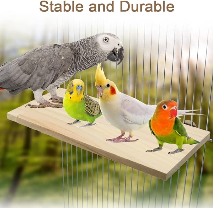 Litewoo Parrot Bird Wood Perch Platform Large Stand Shelf for Birds Budgie Parakeet Cockatiel Conure Cockatoo Macaw African Grey (1PC)