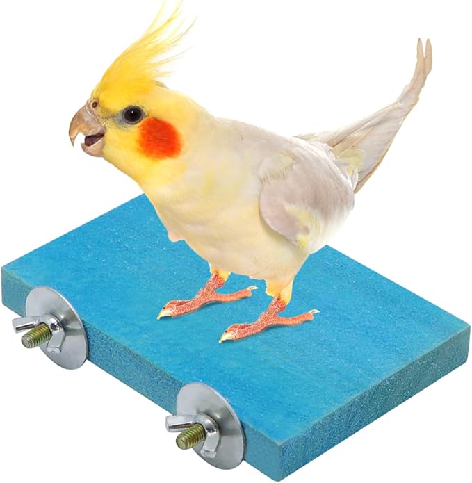 Bird Parrot Perch Stand Platform Natural Wooden Coarse Sand Grinding Claw Stand Suitable for Parrot Parakeet Cockatiel Budgie Conures Lovebird Finch