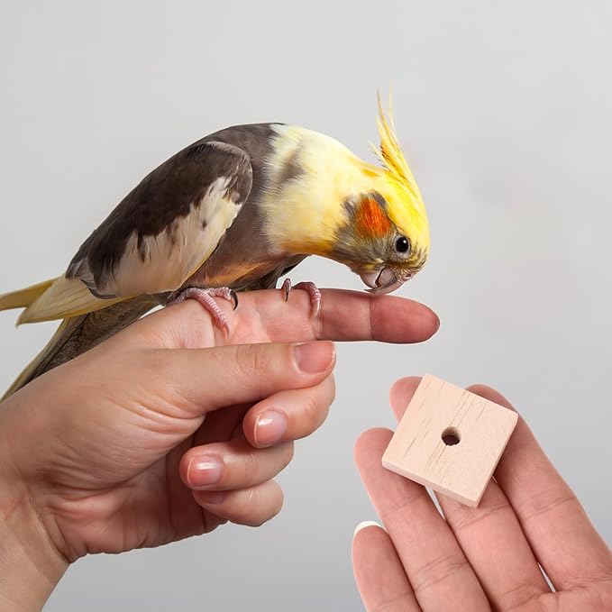 NOLITOY 100pcs Bird Toy Parts, 1.18" Natural Wood Cubes - DIY Parrot Toy Making Kit & Chewing Blocks Bulk Refill - Soft Wood Squares for Cockatoos African Greys Eclectus Medium Birds