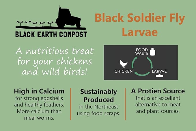 Black Solider Fly Larvae 30 OZ - Made in The USA - More Calcium Than Mealworms - High Protein Chicken Treat - All Natural