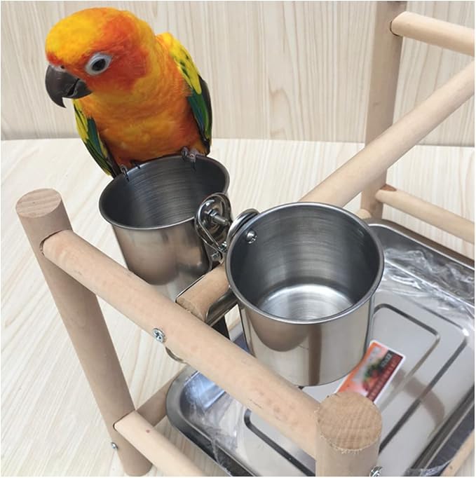 Texsens Bird Feeding Cups - Parrot Food Dish Stainless Steel Parrot Feeders Water Cage Bowls with Clamp Holder for Parakeet African Greys Conure Cockatiels Budgies Chinchilla Small Animal