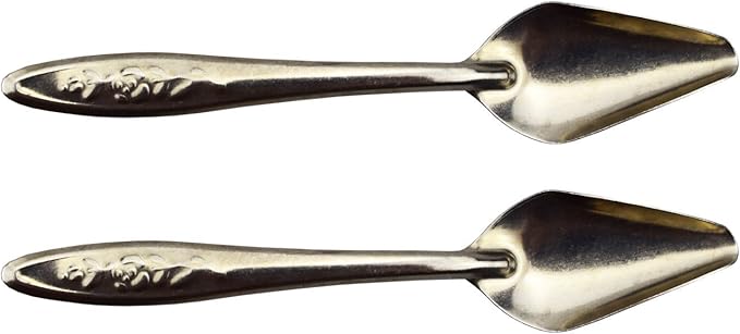 4.7" Bird Parrot Stainless Steel Metal Feeding Spoon,Special Feeding Scoop Medicine Spoons Hand Feeding Spoons for Peony Cockatiel Parrot (2 PCS)