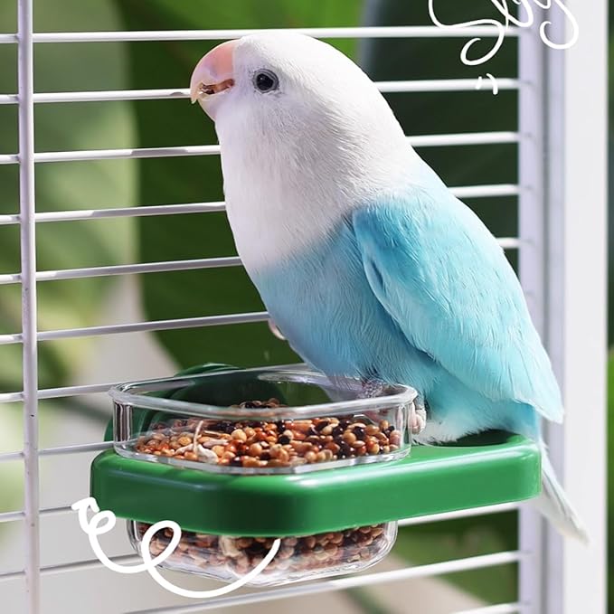 2 pcs Detachable Transparent Bowls with Green Stand for Canary Finch Parrot Seed Water Feeder