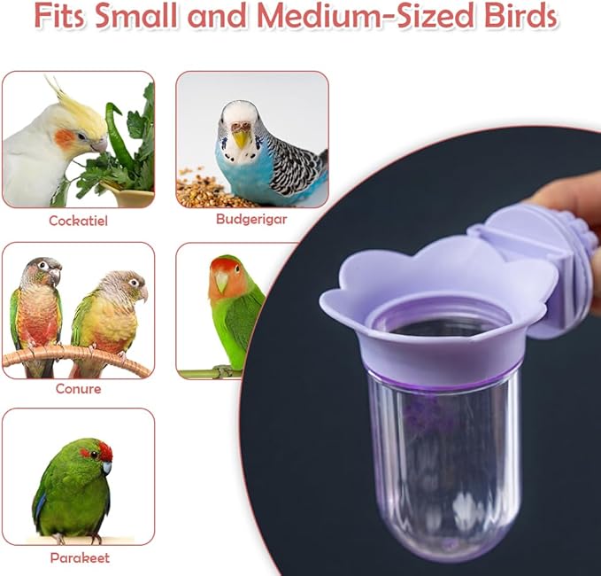 2 Pack Bird Cage Vegetable Feeder Veggies Holder with Water No Mess Hanging Feeder for Canary Finch Parakeet Budgie Cockatiel Lovebird