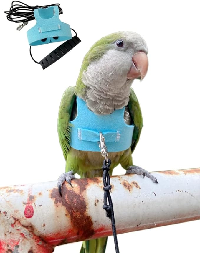Bird Flight Harness Vest Parrot Flight Suit with Leash for Parakeets Cockatiels Conures Budgies, Bird Flying Clothes with Rope and Handle for Outdoor Activities Training (2M,Blue)