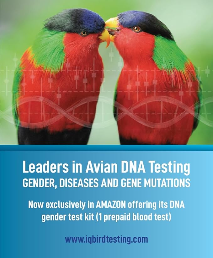 Bird DNA Gender Test Kit – Accurate Avian Sexing Using Feather or Blood – Includes 1 Prepaid Test – Easy Sample Collection – Trusted Lab Service Based in Florida