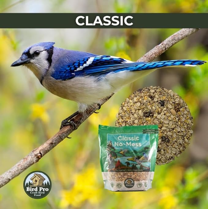 Bird Pro Classic Bird Seed (5 Pounds, Classic No Mess)