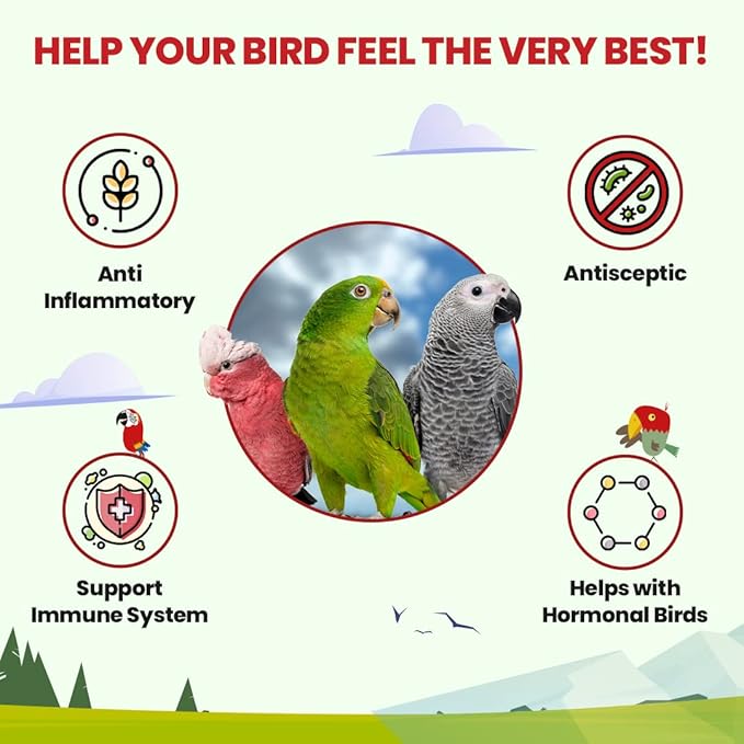 Bird Street Bistro Parrot Tea 3oz - Parakeet & Cockatiel Food Vitamin Substitute - Bird Health Supplies - Bird Food Topper