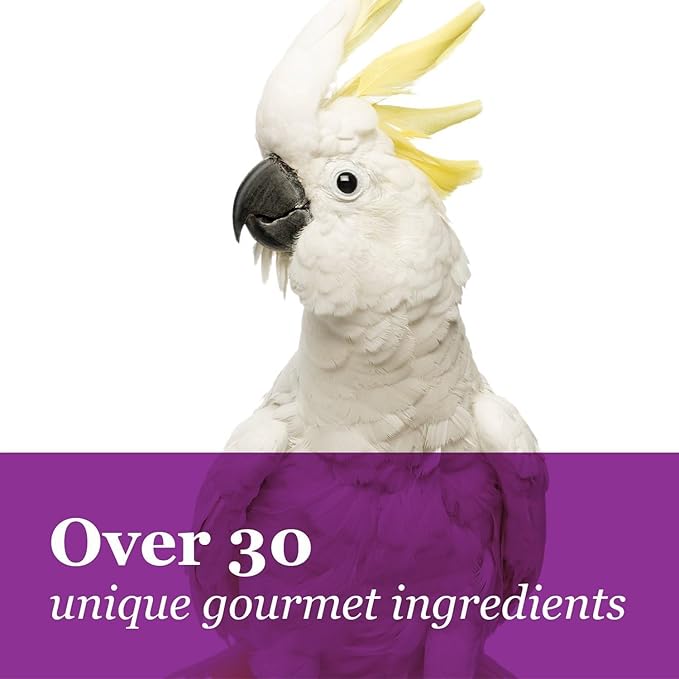 Tropical Carnival Brown’s Gourmet Macaw Bundle (2) Gourmet Macaw Big Bites Food for Big Beaks 14lb and Fruit & Nut Big Bites Treats. 10oz