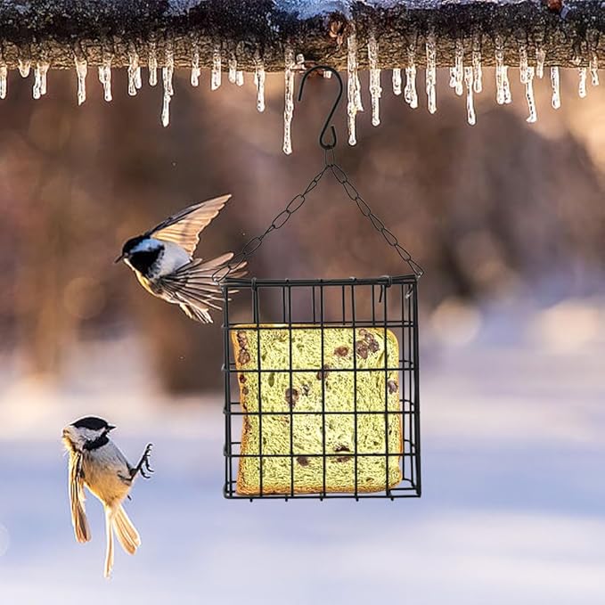 2Pcs Outdoor Suet Cage Bird Feeder, Hanging Wild Bird Feeder with Single Suet Cake Capacity, Multi-Use for Suet/Oranges/Nesting