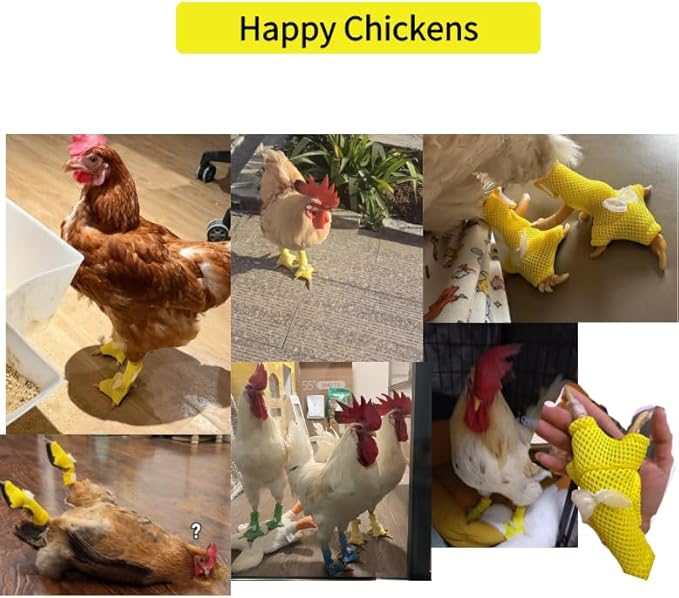 Chicken Boots for Chickens - Breathable Poultry Shoes with Non-Slip Sole for Backyard Chickens (Little Bows)