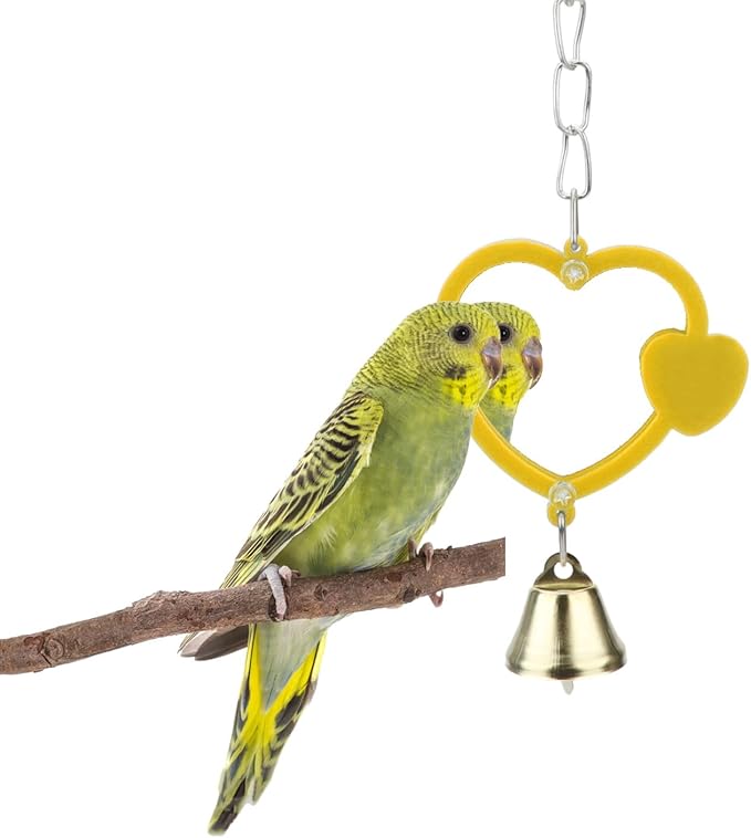 Hypeety Pet Bird Mirror with Bell Interactive Treat Puzzle Parrot Toy Bird Cage Mirror Small Bird Swing Chew Toys Fun Cage Accessories (Color Random) (Heart Shape)