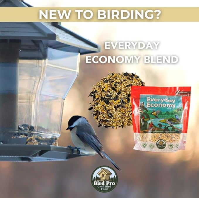 Bird Pro Classic Bird Seed (10 Pounds, Everyday Economy)