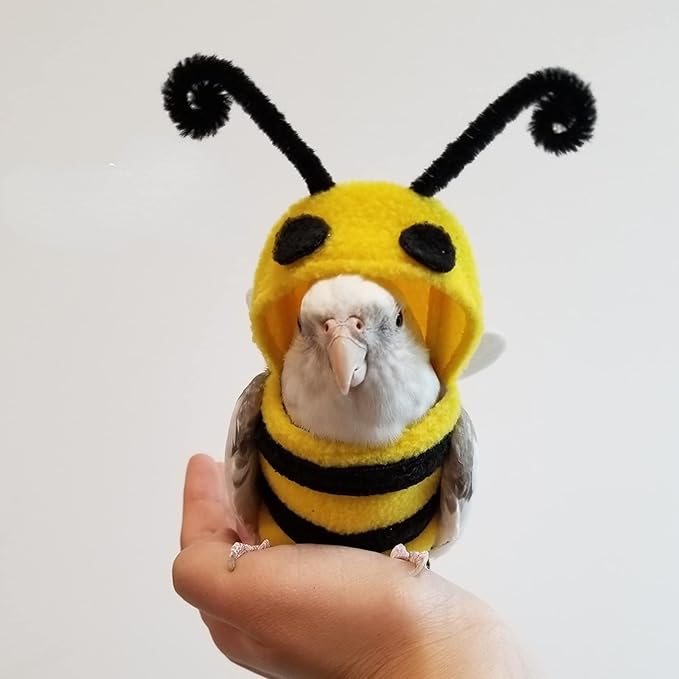 Bird Costume Diaper Flight Suit Bee Shape Hoodie Clothes Cosplay Photo Prop for Parrots Parakeet Cockatiel Sun Conure, Small Animals Apparel (Bee with Diaper, Small), Green (BPF1)