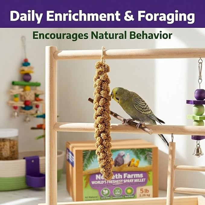 Nemeth Farms Spray Millet - Edible Tops Only, Non-GMO and Sun-Dried - 5 lbs for Parakeets, Conures and Cockatiels
