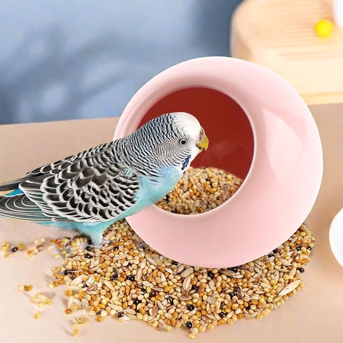 2 Pack Bird Feeder Ceramic Anti-Spill Food Bowl for Bird Parrot Cockatiel Parakeet Conure Finch Hamster Guinea Pig Gerbil Small Animals (Red and Green)