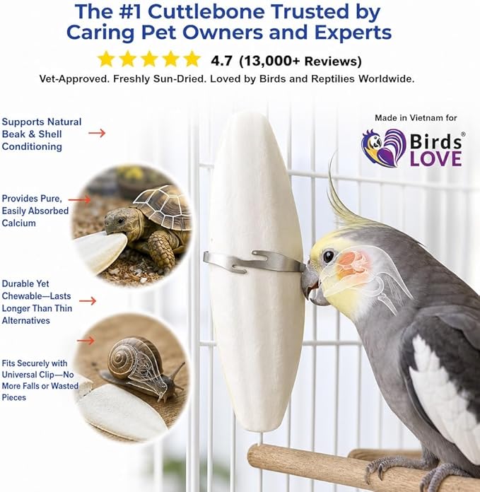 Birds LOVE 7.5-8" Cuttlebone for Birds – 100% Natural Sun-Dried Calcium Carbonate Mineral Supplement – for Parakeets, Budgies, Cockatiels, Finches & Canaries – 2 Pack with Holder – Made in Vietnam