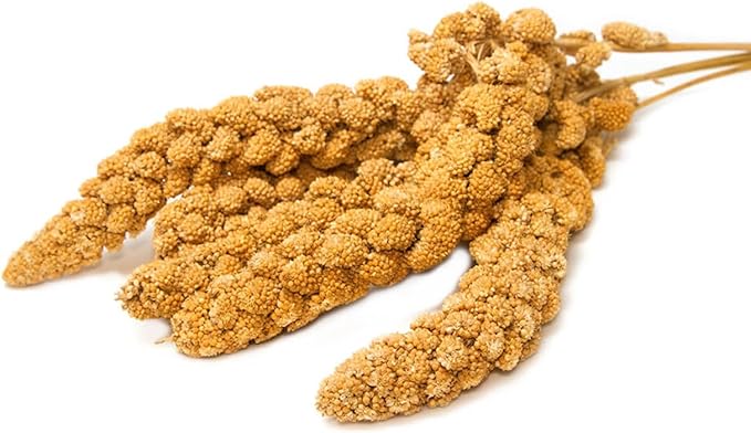 5 lb. and 25 lb. Healthy Treat for All Birds (5 lb.)