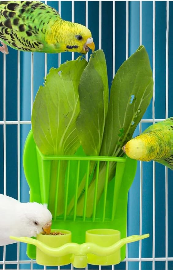 Bird Parrot Feeder Cage Fruit Vegetable Holder Vegetable Rack Pet Food Hanging Feeder Parrot Fruit Hanging Containers for Cage