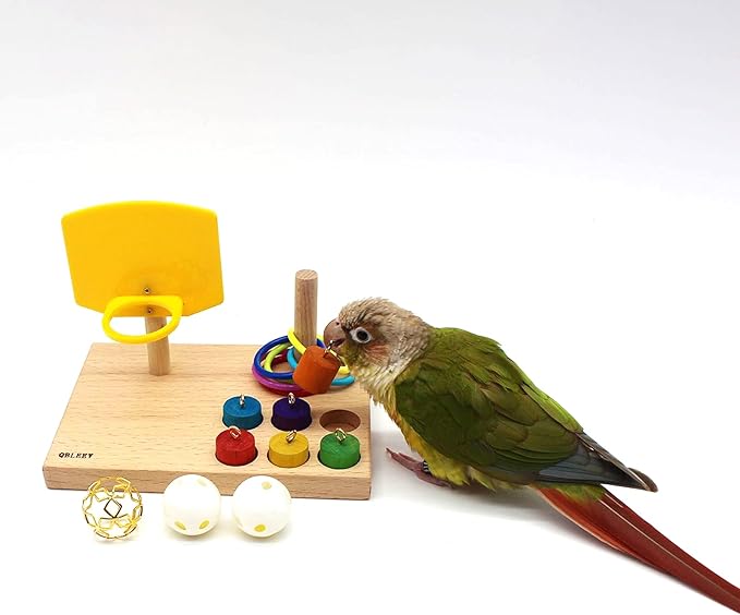 QBLEEV Bird Toys - Budgie & Parrot Training Toys, Color Ring Sets, Chew Ball & Play Gym