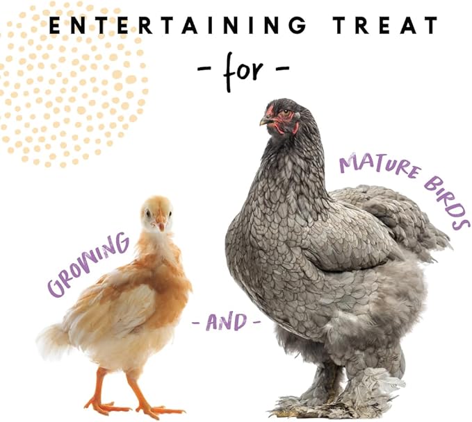 Manna Pro Chicken Scratch Feed, Heritage USA Purple Corn Blend, Natural Treat for Chickens and Ducks, Supports Healthy Digestion and Foraging, Poultry Scratch Grain, 10 lb Bag