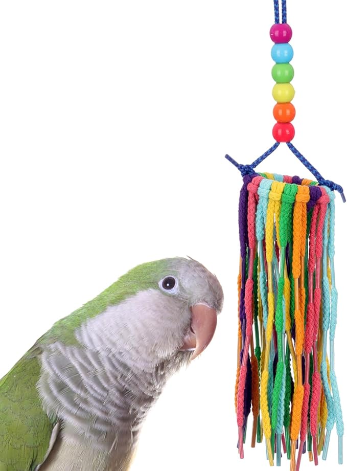Super Bird Creations SB1202 Small Rainbow Aglets Bird Toy - Satisfies Chewing and Preening Instincts of Parrots Ringnecks, Medium Conures, Quakers - Encourages Curiosity - Ideal for Medium Bird Size