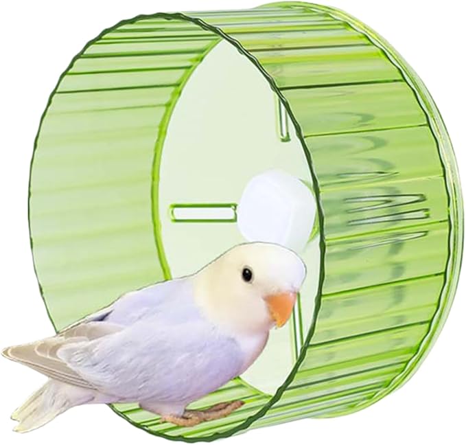 Bird Wheel Toy, Silent Parrot Exercise Wheel Interactive Rotating Toy for Small Medium Birds - Parakeets Cockatiels Conures Lovebirds Finches - Bird Cage Enrichment Accessory (S (6.7''D),Green)
