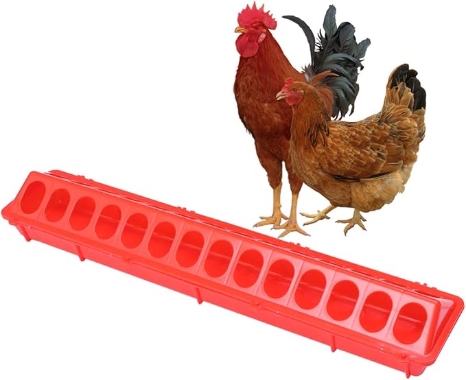 Pigeon Feeder Slot Container Fowl Feeding Dish Pigeon Storage Trough Bird Food Dispenser Parrot Feeder Duck Food Bowl for Poultry (Red)