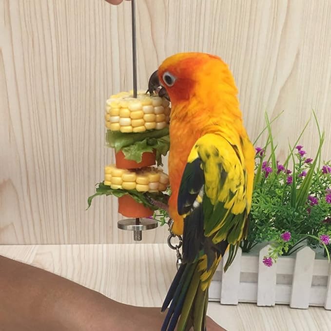 Litewoo Bird Cage Food Holder Parrot Vegetable Fruit Skewers Stainless Steel Bird Feeder Hanging Foraging Toys Cage Accessory for Parakeet Cockatiel Conure Cockatoo African Grey Chinchilla Guinea Pig