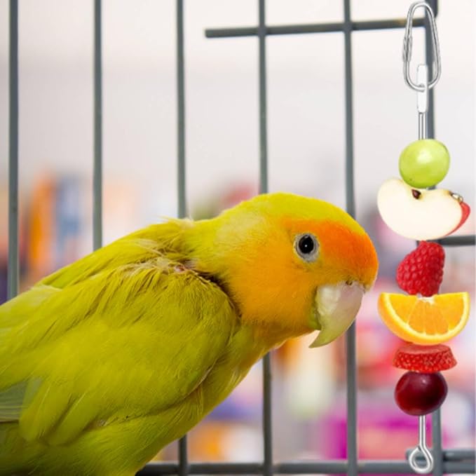 5 Pcs Fruit Vegetable Bird Cage Feeder,Stainless Steel Suspended Bird Toys and Accessories for Parakeets, Cockatiels, Conures and Small Animals