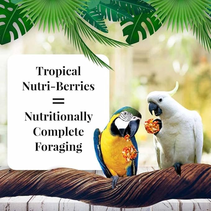 LAFEBER'S Tropical Fruit Nutri-Berries Pet Bird Food, Made with Non-GMO and Human-Grade Ingredients, for Macaws (10 Ounce Pack of 2)