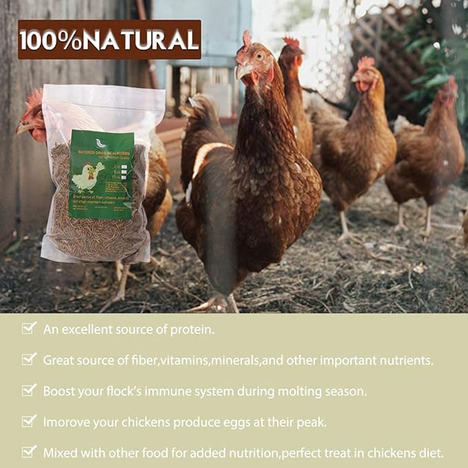 Non-GMO Dried Mealworms 11LB,100% Natural Large Size No Moisture,Treats for Birds Chickens Hedgehog Hamster Fish Reptile Turtles