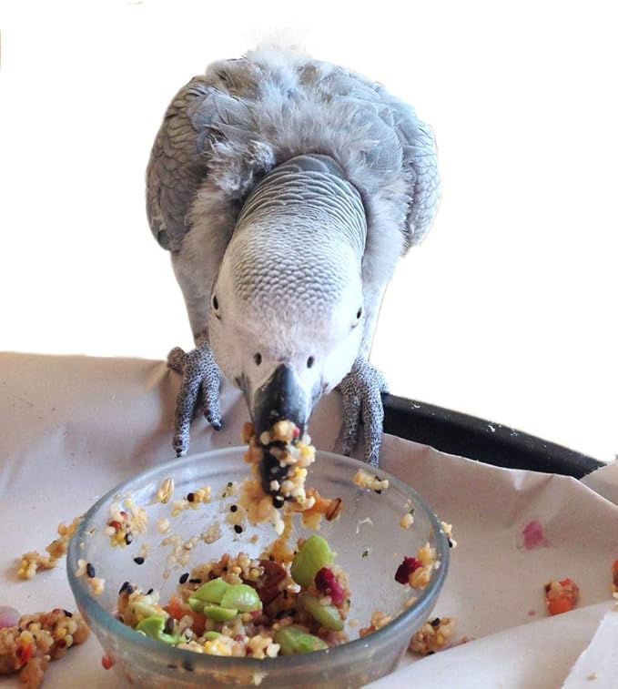 Bird Street Bistro Parrot Food - Parakeet & Cockatiel Food - Cooks in 3-15 min with Natural Grains, Legumes, Non-GMO Fruits, Vegetables & Health-Oriented Spices