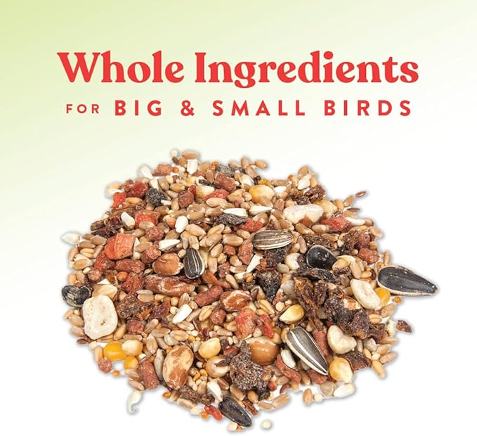 Manna Pro Harvest Delight Poultry Treat, Whole Grain & Seed Mix with Fruits & Vegetables, 14% Protein Snack for Chickens, Ducks & Mixed Flocks, 2.25 lb