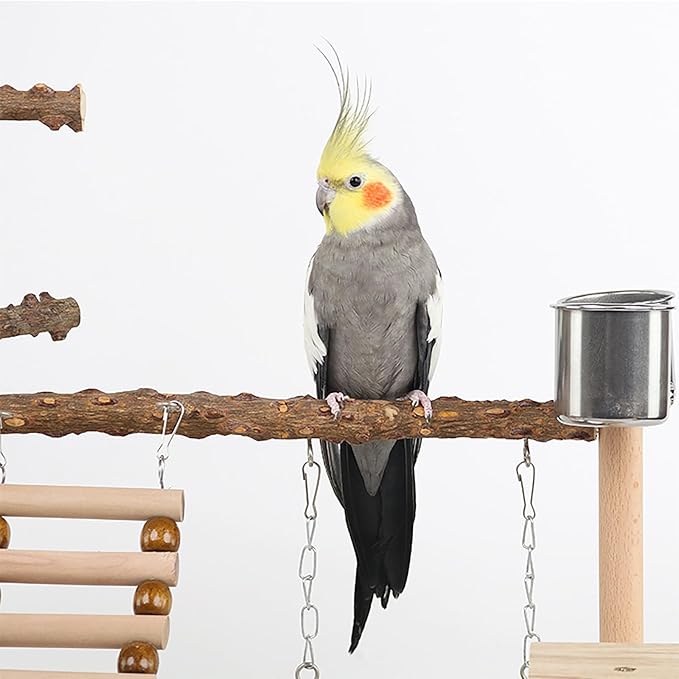 RoseFlower Bird Playground, Parrots Wooden Playstand, Birdcage Playground Play Gym Parakeet Playpen Ladder with Feeder Cup and Tray, Bird Toys Swing Exercise Toy