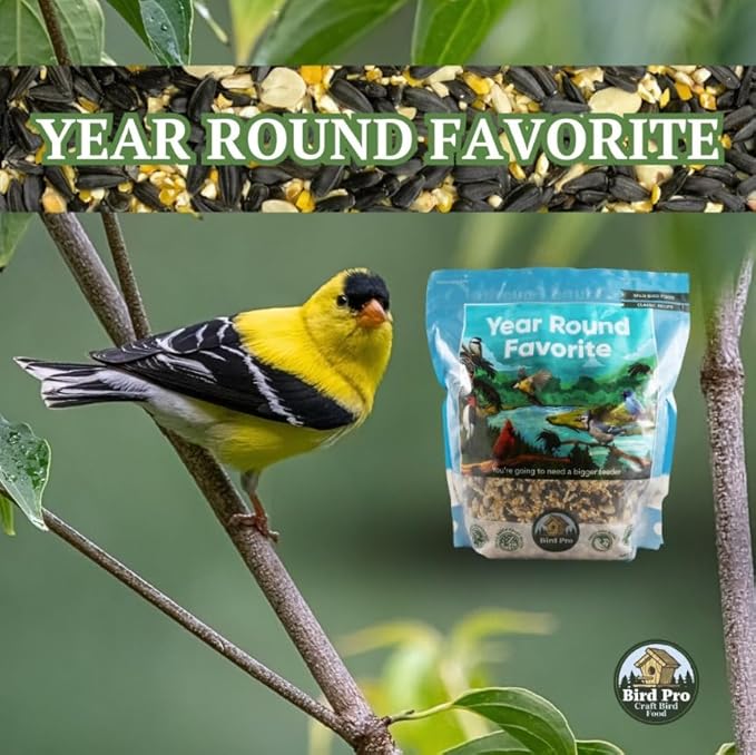 Bird Pro Classic Bird Seed (40 Pounds, Year Round Favorite)