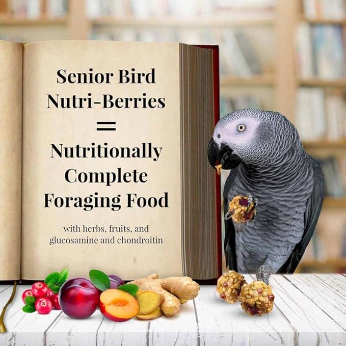 LAFEBER'S Senior Bird Nutri-Berries Pet Bird Food, Made with Non-GMO and Human-Grade Ingredients for Parrots (10 oz Pack of 2)