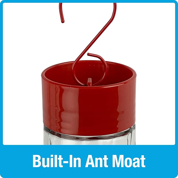 Nature's Way Hanging Glass Hummingbird Feeder for Outdoor Décor, 20 Ounce Capacity Nectar Feeder, Ant Moat, 5 Easy to Clean Flexible Ports, Red