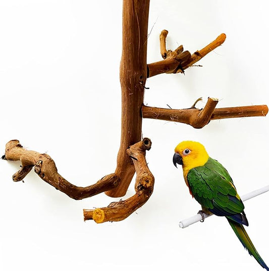 Natural Parrot Perch Bird Stand Branch Wild Grape Stick Paw Grinding Branch Parakeet Climbing Standing Branches Toy Chewable Cage Accessories for Small Lovebirds Budgies Cockatiels
