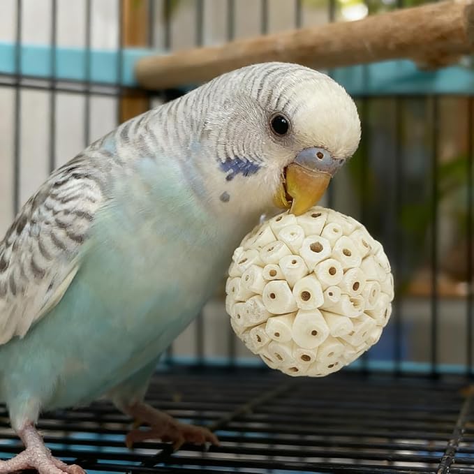 Bird Toys - Sola Ball Foraging Box, 10 Natural Ingredients | Chewing and Shredding Parrot Toys | Ideal for Parakeets/Cockatiels/Conures/Lovebirds and Small to Medium Birds