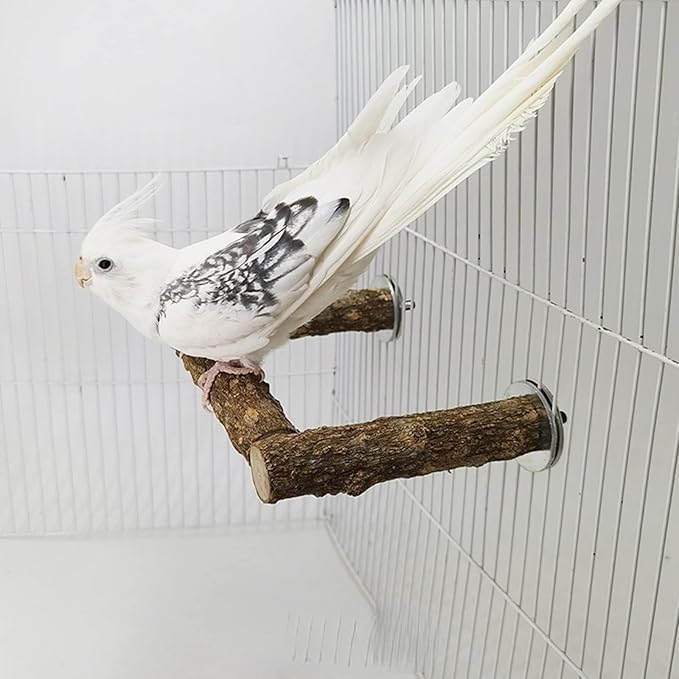 Natural Wood Bird Perches for Parrot - Wooden Bird Parrot Stand Branches Parakeet Cage Perch Accessories for Small Birds Budgies Cockatiels Conure Lovebirds (BP2)