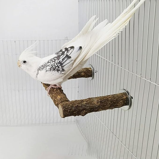 Natural Wood Bird Perches for Parrot - Wooden Bird Parrot Stand Branches Parakeet Cage Perch Accessories for Small Birds Budgies Cockatiels Conure Lovebirds (BP2)