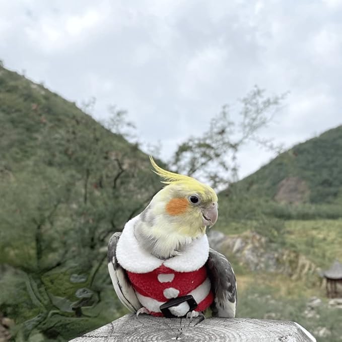 Bird Clothes Birds Flight Suit, Christmas Hoodie for Parrots Cockatiel Sun Conure Christmas Party Cosplay Photo Prop Bird Shirt Small Animals Apparel (B,Cockatoo)