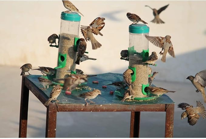 Amijivdaya Medium Bird Feeder Pack of 1