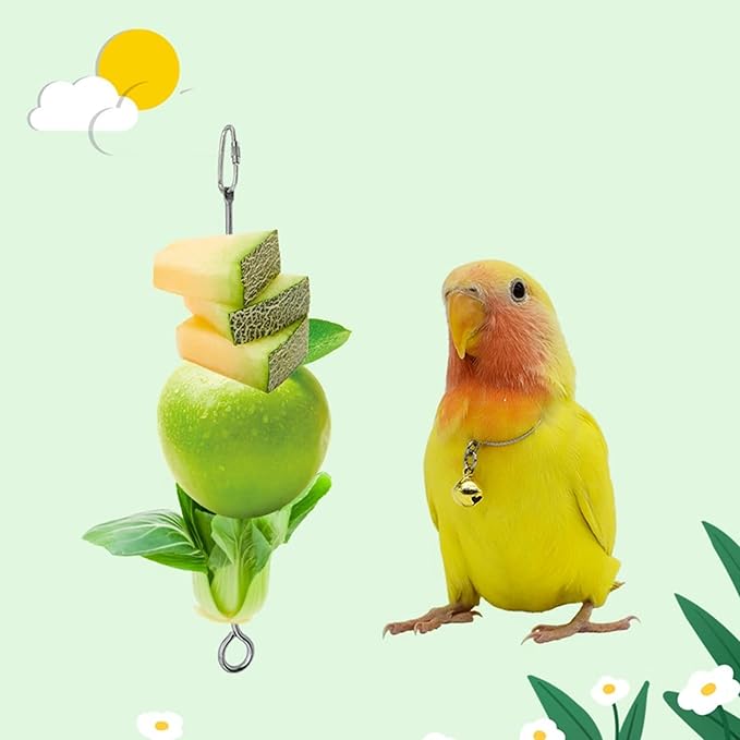 2 Pcs Bird Food Holder Small Animal Fruit Vegetable Skewer Hanging Feeders Toy Stainless Steel Feeding Stick Tool for Cage