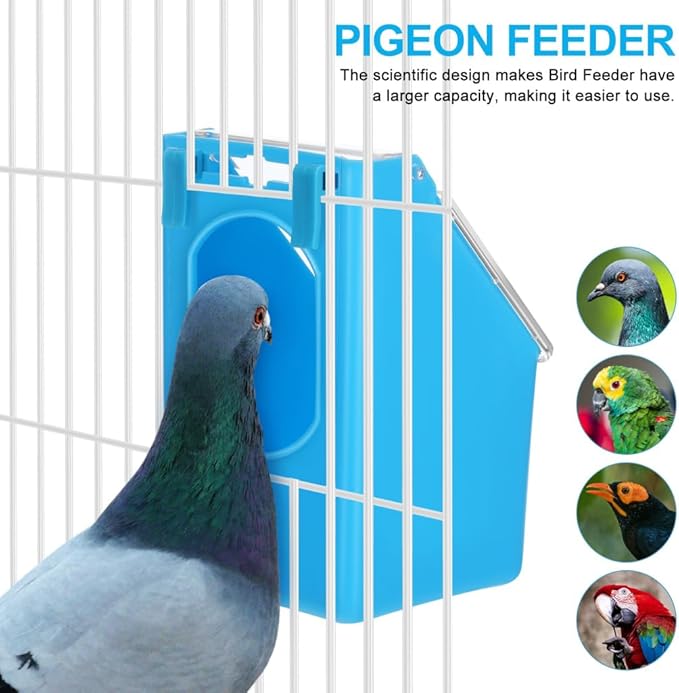 4pcs Pigeon Feeder Pigeon Supplies Cages Quail Cage Comederos Quail Feeder Outside para Water s Bird Bowl Parrot Suite Single Hole