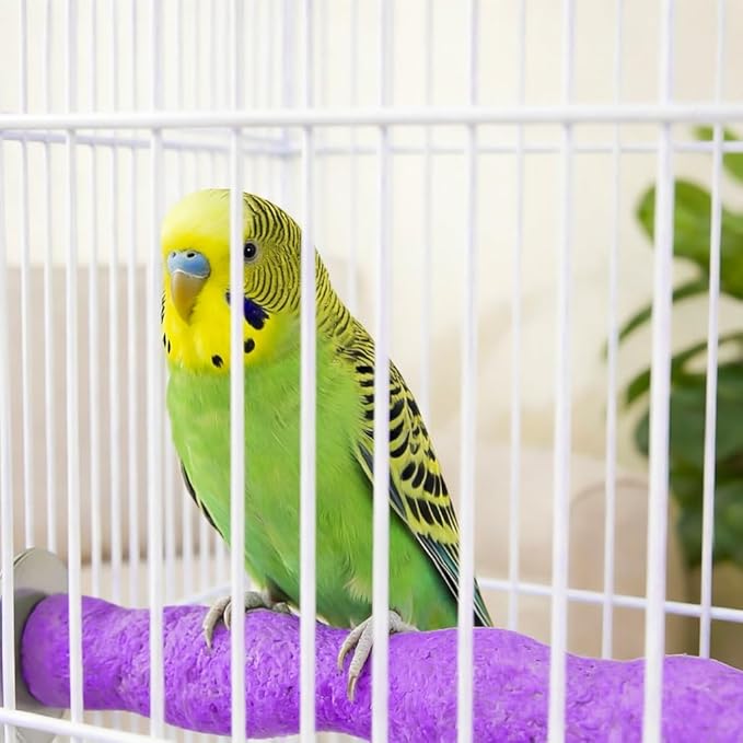 2PCS Bird Beak Grinding Stones, Parrot Perch, Non-Slip Claw Trimmer Chew Toys for Cockatiels, Budgies, Conures, Parakeets, and Other Small to Medium Parrots